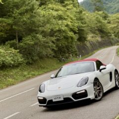 車, 道路, 木, 山, 山道, 走行中, PORSCHE, Boxster, 981