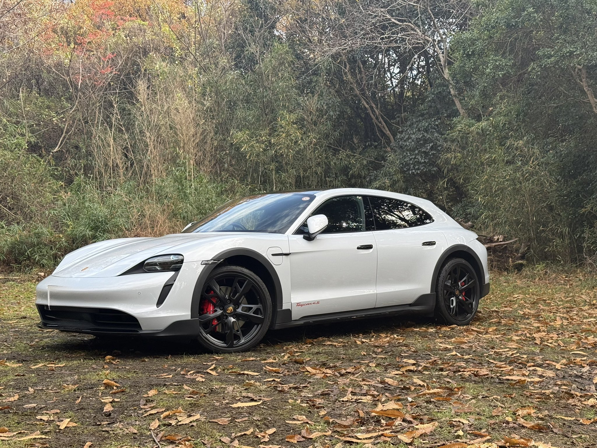 Approaching the 10th Year of This Blog: Reflecting on 2025 and