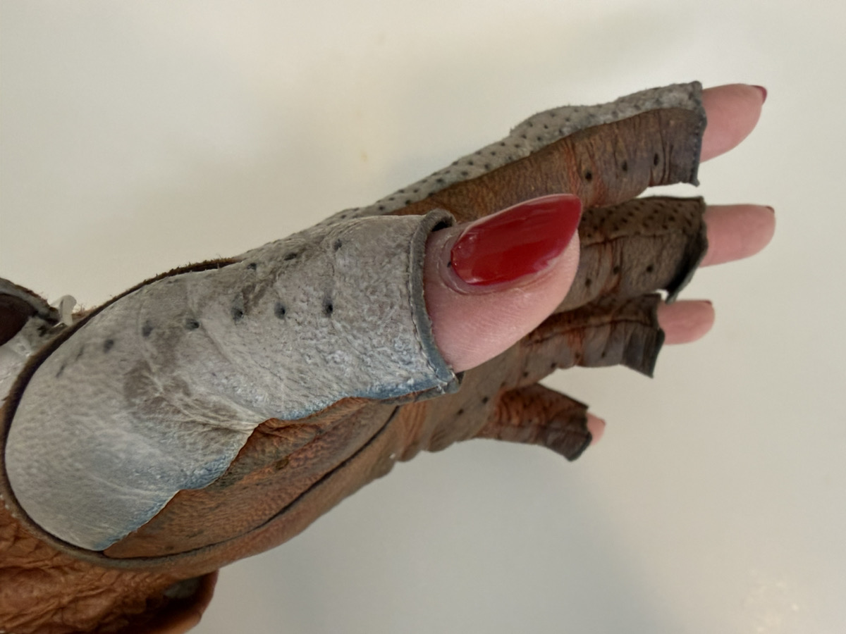 カカザングローブ