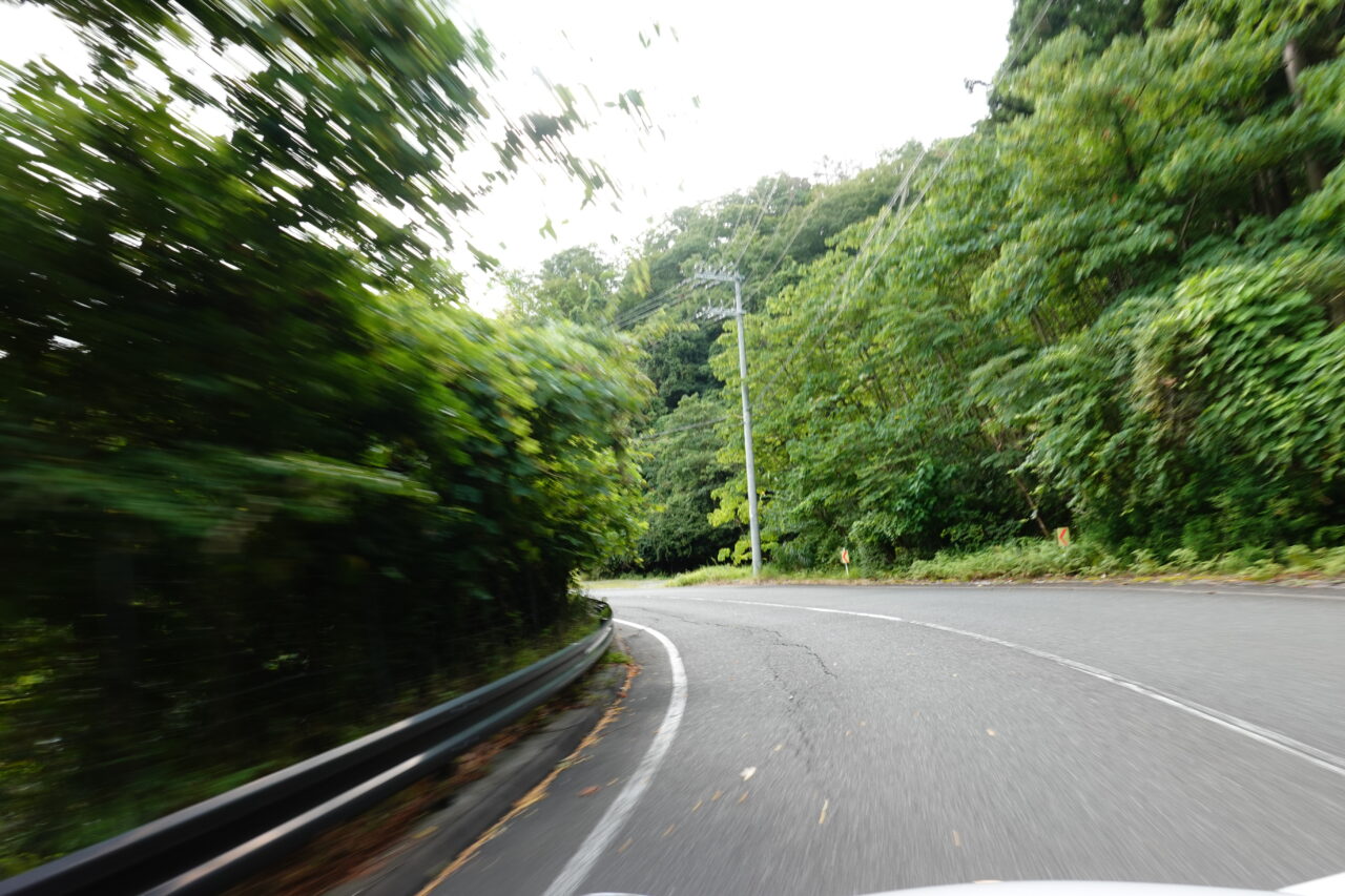 Road, Guardrail, Trees, Utility Poles, Driving, Mountain Roads